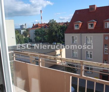 Piła, Zamość - Photo 5