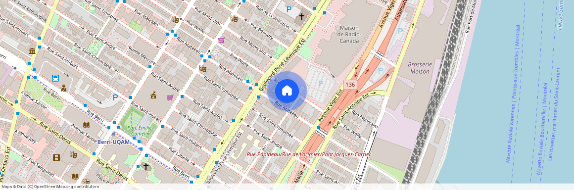app.1070, 1070 Rue Wolfe, H2L 3J1, Montréal