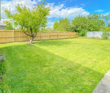 In the Zones, Close to the Action! - Photo 1