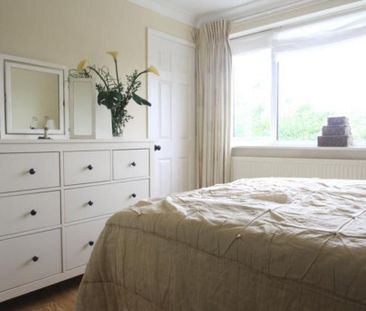 3 bedroom house to rent - Photo 4