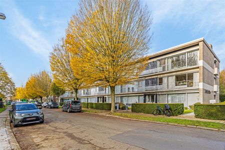 Gerenoveerd gelijkvloers appartement in Edegem - Photo 5