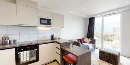 Diamond 1 Bed Apartment - Photo 4