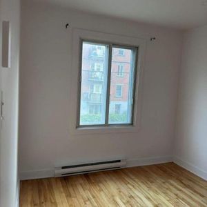 1 CH - 1 SDB - Montréal - $1,495 /mo - Photo 2