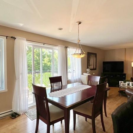 appartement 2 chambres, st-hubert - Photo 4