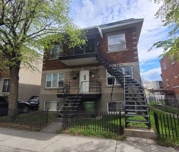 6842 Av. Lamont Montréal (Le Sud-Ouest), QC H4E - Photo 3
