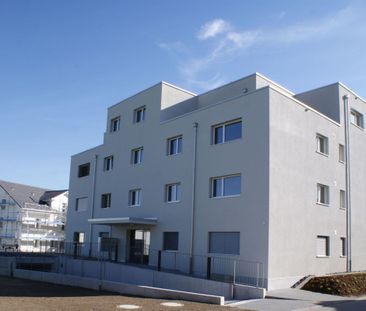 moderne 2.5-Zi-Sitzplatzwohnung - Foto 3