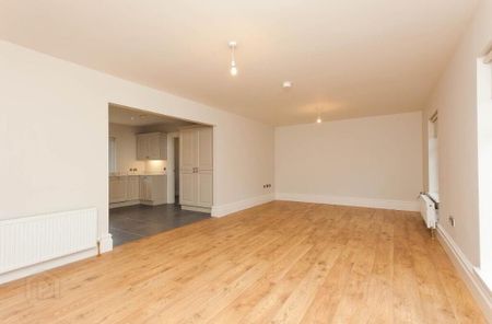 53 Ballyskeagh Road, Drumbeg, Lisburn, BT27 5TE - Photo 3