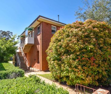 Cute, Cozy and Central - Photo 1