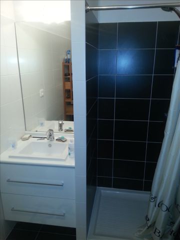 T2 MEUBLE - LYON 7 - Photo 3