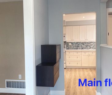 For Lease - 54 Alexander Street, New Tecumseth, Ontario - Photo 3