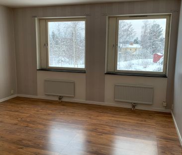 Textilvägen, Sågmyra - Photo 1