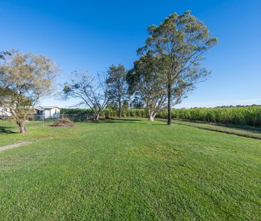 147 Kings Creek Road, Lawrence NSW 2460 - House For Rent | Domain - Photo 5