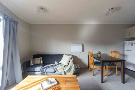 Furnished One Bedroom Apartment - Photo 2