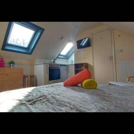 Studio Flat, Ash Grove, NW2 - Photo 3