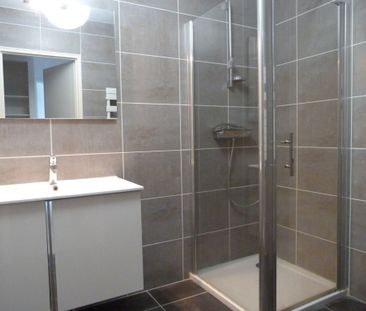 Location Appartement 2 pièces Meublé 43m² NANTES 44000 - Photo 4