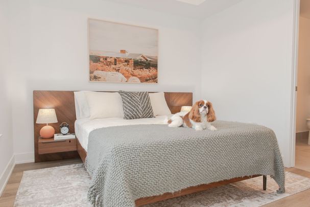 For Lease - 484 Spadina Avenue Unit# 1606, Toronto, Ontario - Photo 1