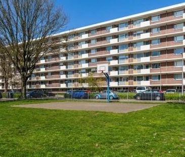 Professor Cobbenhagenlaan 0ong, 5037 Tilburg, Nederland - Foto 1