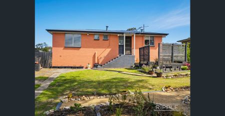 A Peaceful, Stylish Home with Exceptional Gardens - Photo 3