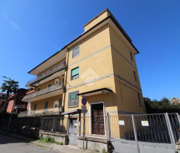 Trilocale in affitto - Photo 1