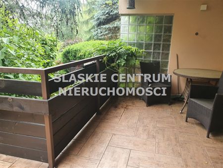 Gołonóg, Storczyków, Dąbrowa Górnicza - Photo 3