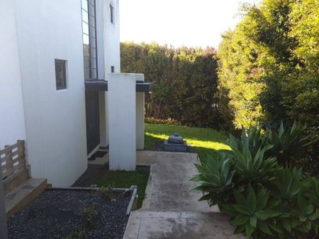 Kohimarama Gem - Photo 4