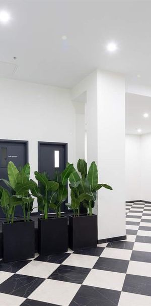 1 CH - 1 SDB - Montréal - $1,875 /mo - Photo 1