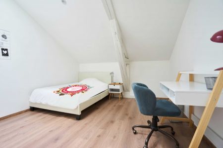 SELLIER Colocation 4 chambres à Nancy - Photo 5