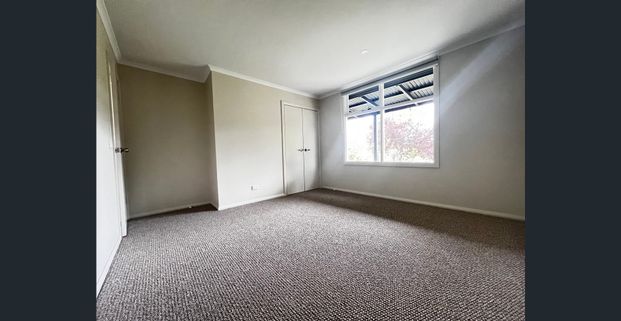 For Rent - Photo 1