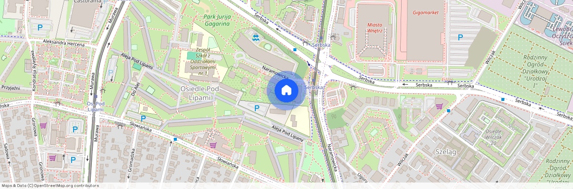 ul. Naramowicka, Winogrady, Stare Miasto, Poznań, wielkopolskie