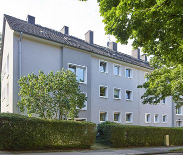 2-Raumwohnung in zentraler Lage - Photo 5