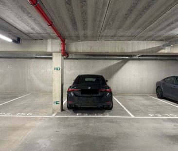 O'SEA LIFE 12.03 - Foto 4