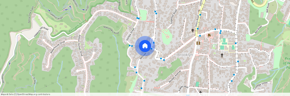 86, Mitchell Street, Brooklyn, Wellington