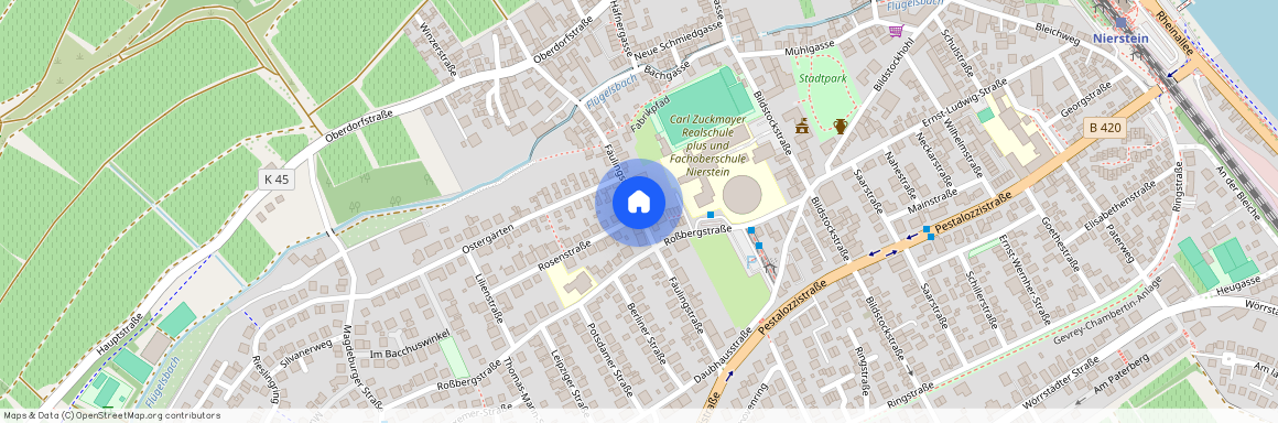 Fäulingstr xx, 55283 Rheinland-Pfalz - Nierstein