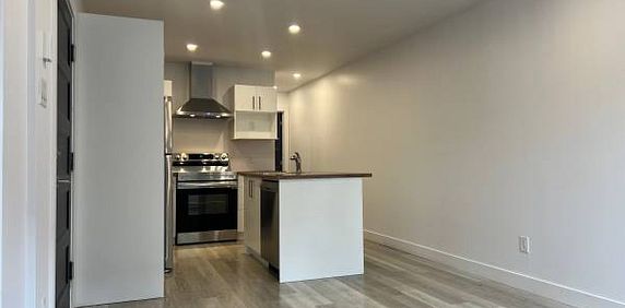 Rosemont - Superb 4 1/2 Renovated - July 1st - Photo 2