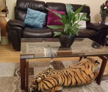 The Boulevard Cruise Park, Dublin - Photo 5