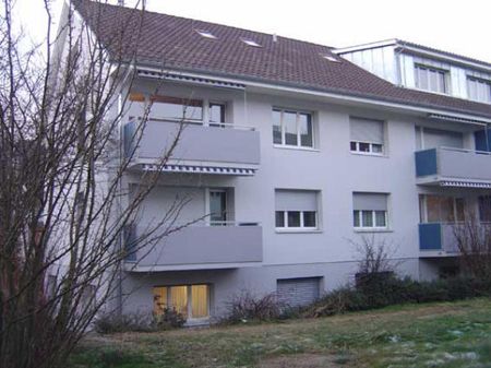 Baselland MFH Grabenring - Photo 5