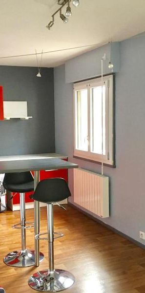 Location Appartement 1 pièce 33m² CLERMONT FERRAND 63100 - Photo 1