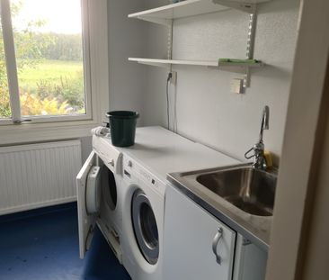Bertnäsvägen, Norrfjärden - Photo 5