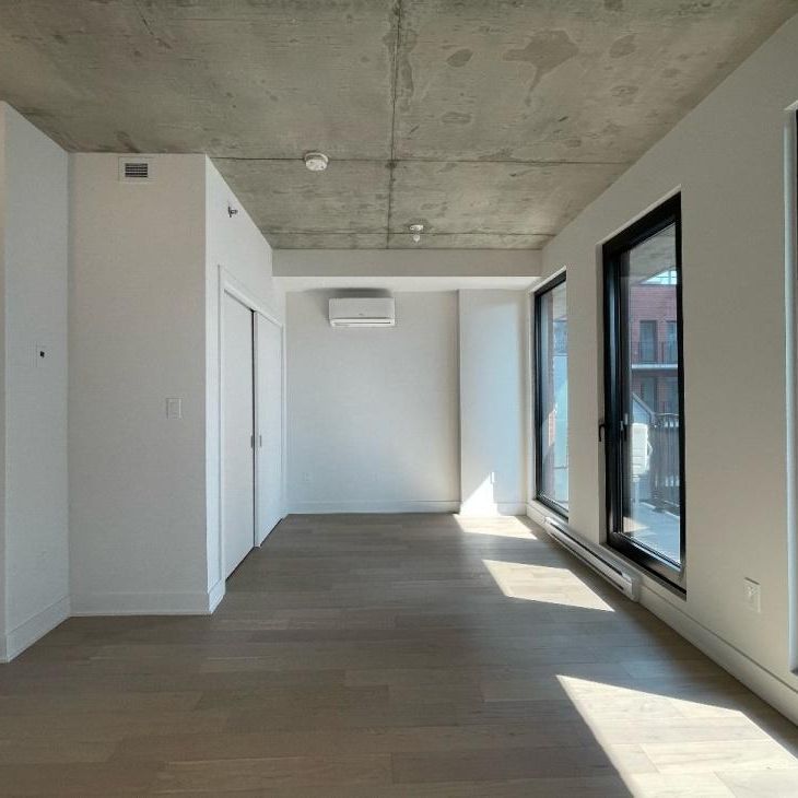 Appartement à louer - Montréal (Ville-Marie) (Centre) - Photo 1