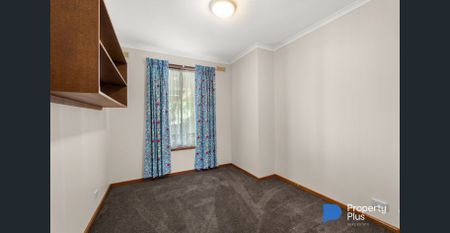 "Large and in Charge" - Photo 3