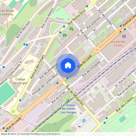 2304, La Chaux-de-Fonds, Rue du Locle, 16