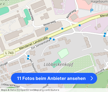 Hier findet jeder seinen Platz: weitläufige 3,5-Zi.-Wohnung - Foto 1