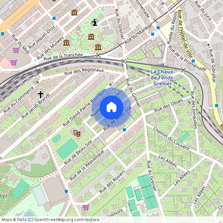 2300, La Chaux-de-Fonds, Ruelle Des Buissons, 11