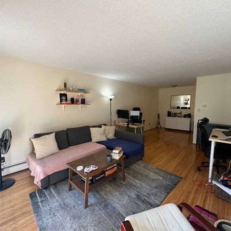 Kitsilano, Bright, Large 1 Bed, 2nd Flr, October 1st - Photo 4