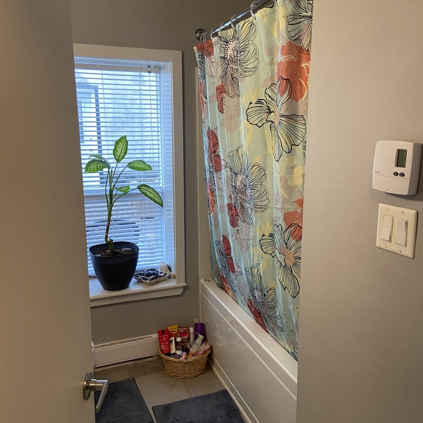 267 Charlotte Suite 1 - Photo 1