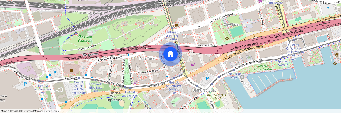 20 BRUYERES Mews, Toronto