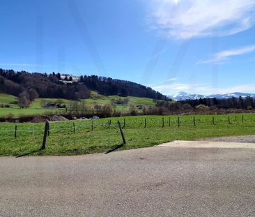 2.5 Zimmer - Photo 5