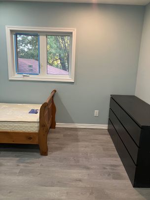 For Lease - 4 greenock Avenue, Toronto, Ontario - Photo 1