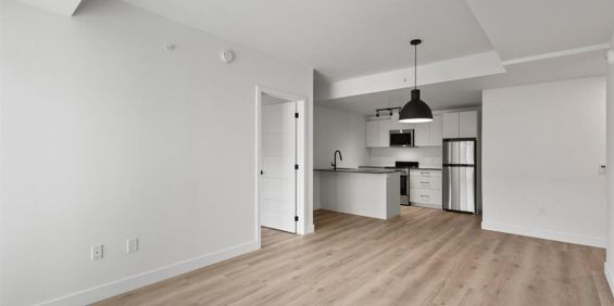 Studio - 1133 Avenue Viger Est, Montréal - Photo 3