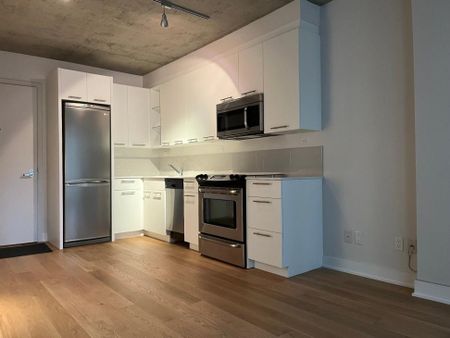 Appartement à louer - Montréal (Ville-Marie) (Centre Ouest) - Photo 4